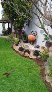 Tzal Empresa especializada en jardinería. Tus plantas, pasto, árboles y palmas en siempre verdes gracias a nuestros jardineros profesionales.