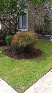 Mantenimiento de jardinería en el norte de Mérida, Las fincas jardín de tamaño medio