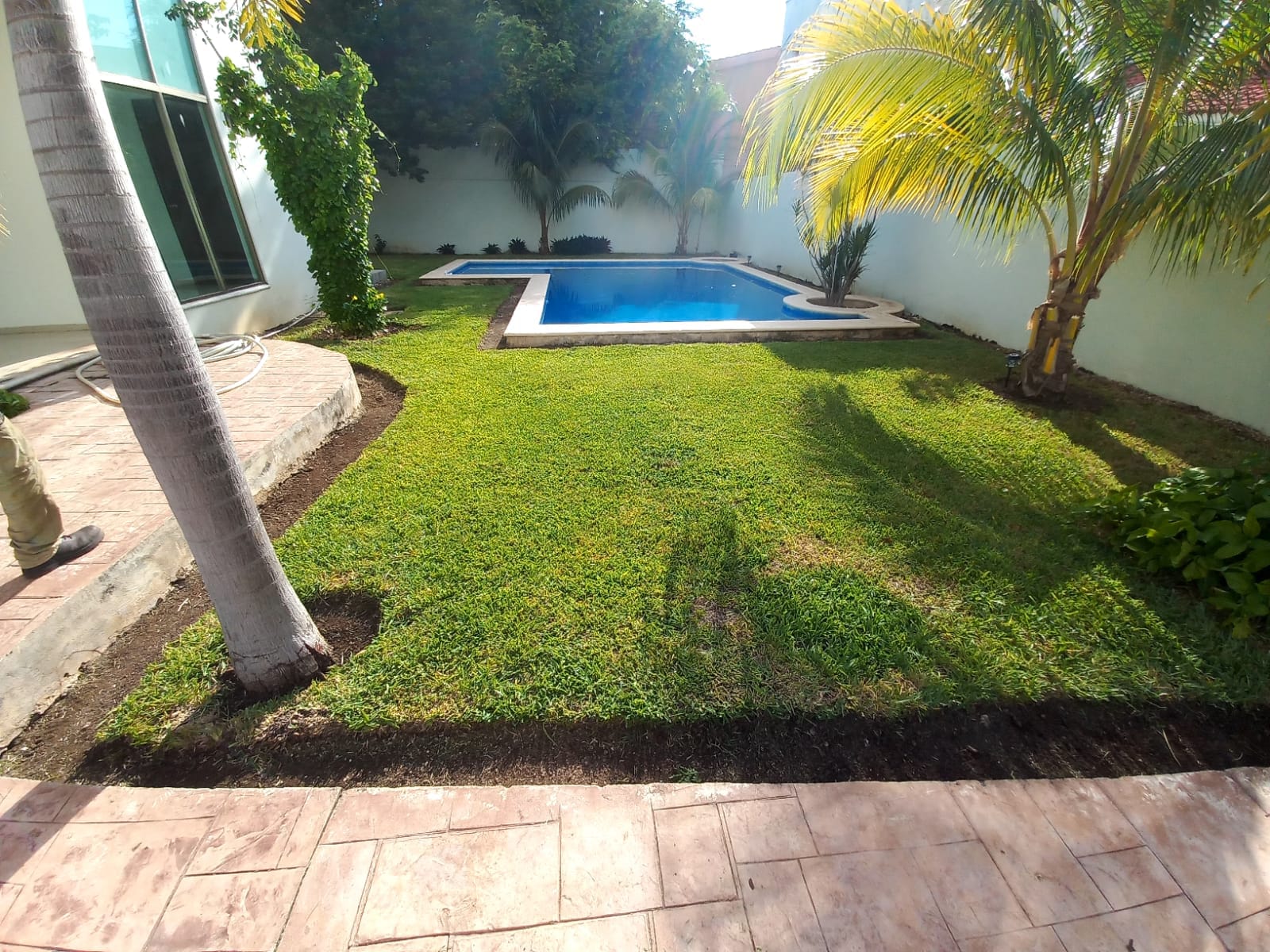 Servicio de jardineria en San Ramón Norte, poda de pasto y deshierbo de plantas