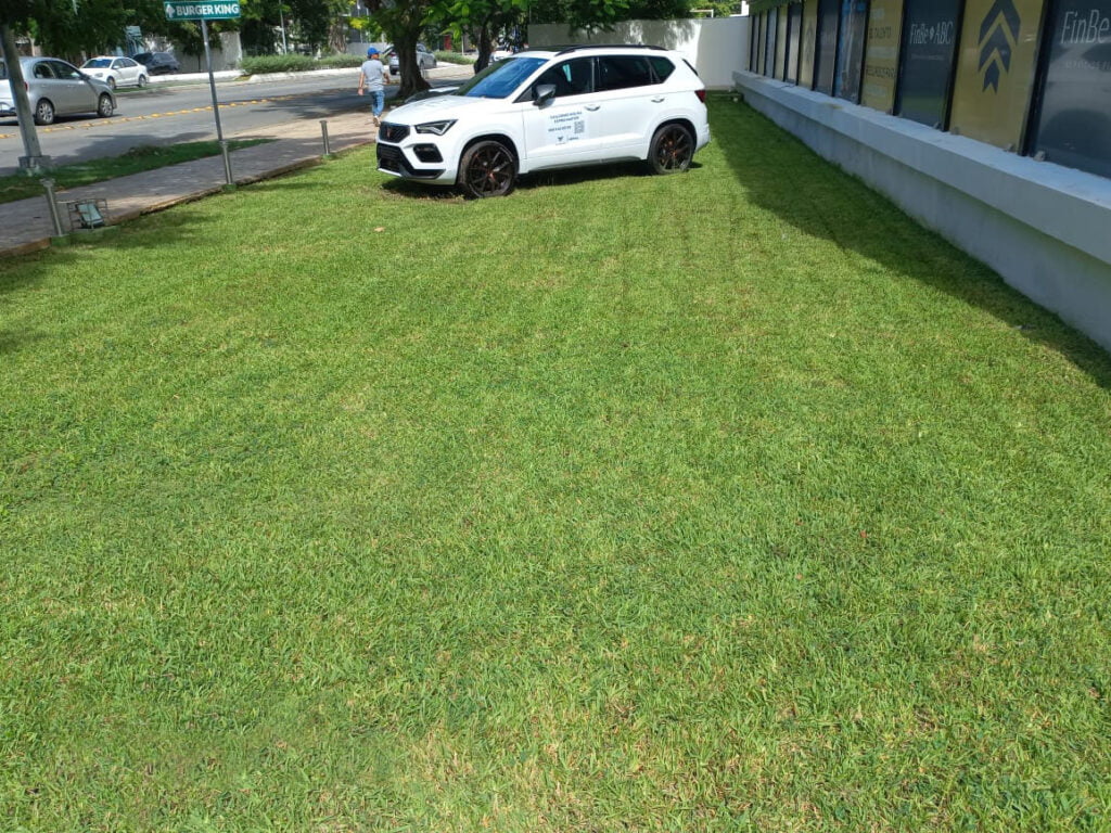 Servicio de jardineros en Oficinas del grupo industrial proveedor de Coca Cola México en Mérida