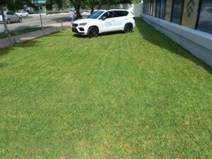 Servicio de jardineros en Oficinas del grupo industrial proveedor de Coca Cola México en Mérida